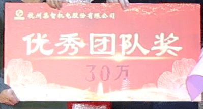 星辉娱乐机电优秀团队奖